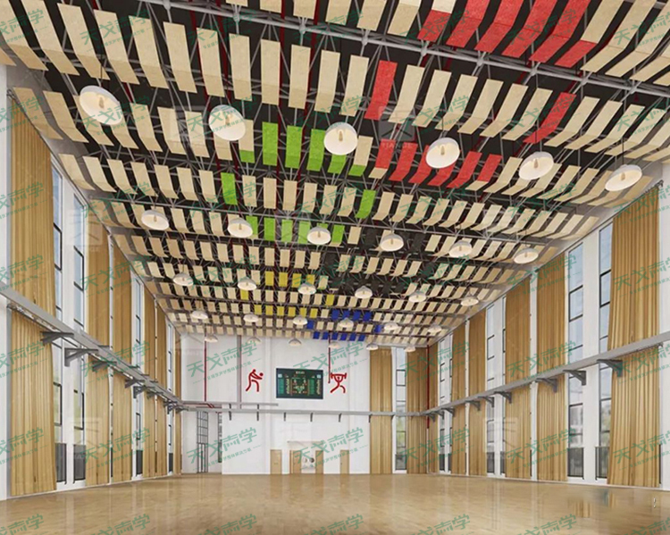 安徽合肥和平小學體育館聲學設計工程